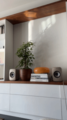 London resident documents white built-in shelving unit display
