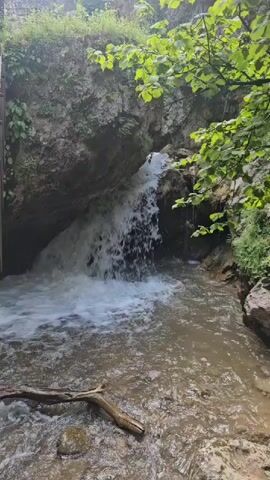 A narrow waterfall cascades down a rocky cliff face into a shallow, murky stream. Lush green foliage overhangs the scene, framing the waterfall and stream. A fallen branch rests in the foreground of the stream. The overall impression is of a natural, untamed environment.