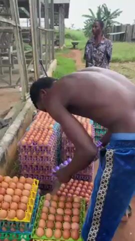 A man with dark skin stands shirtless, clad in blue velvet sweatpants with gold trim, stacking cartons of brown eggs. He leans over the stacks of eggs to pick up another carton. Another man is standing in the background. The area appears to be a farm with a building with a metal roof structure and vegetation surrounding it.