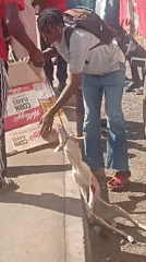 Everyday street life documented across Jos and Gura Top, Nigeria