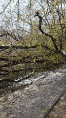Weather event blankets Moscow playground with snow, hail, debris
