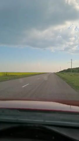 The video shows a first-person view from inside a vehicle, looking out through the windshield at a highway. The road is paved and has white lane markings. To the left of the road is a field of yellow flowers, likely canola. To the right of the road is a grassy area with trees in the distance. Several utility poles are visible along the right side of the road. The sky is partly cloudy with a mix of blue sky and gray clouds. The bottom of the video shows the dashboard and steering wheel of the vehicle. The vehicle appears to be moving forward on the highway.