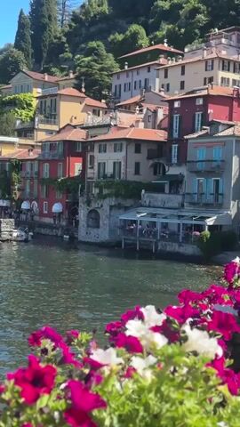 The video begins with a close-up of vibrant pink and white petunias, then pans to a picturesque waterfront town. Colorful buildings with red, yellow, and blue facades line the shore, some with awnings and outdoor seating areas. The water is calm and reflects the blue sky and surrounding greenery. Several boats, including a sailboat and smaller motorboats, are docked or cruising on the lake. People are visible walking along the waterfront promenade. In the distance, lush green hills and mountains rise, with some houses nestled among the trees. The scene suggests a sunny day in a scenic European lakeside village.