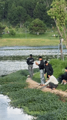 Morning life captured around Da Lat lake and streets