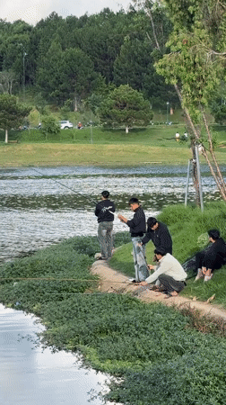 Morning life captured around Da Lat lake and streets