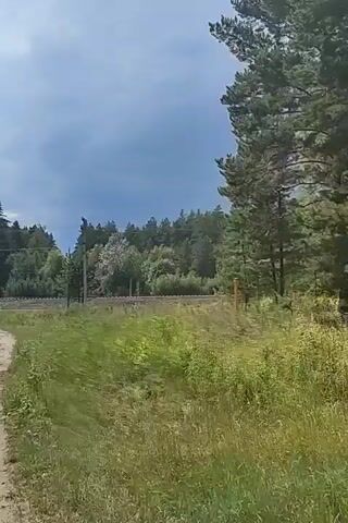 The video shows a dirt path curving to the left, bordered by tall green grass and vegetation. In the background, a line of trees forms a dense forest under a cloudy sky. A power line runs across the middle ground. A thin, vertical yellow pole is visible on the right side of the frame. The overall scene depicts a natural outdoor environment, likely a rural or wilderness area.