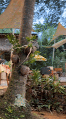 Lazy afternoon at a rustic ocean-view hangout in Karon