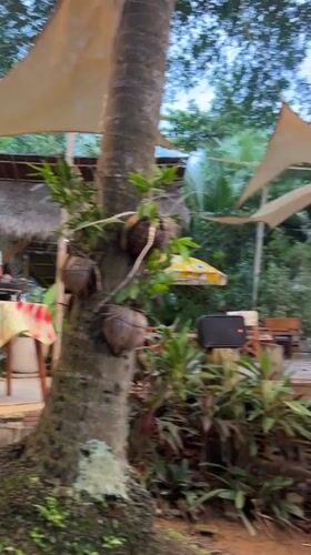 Lazy afternoon at a rustic ocean-view hangout in Karon