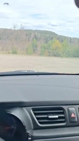 The view from inside a car shows a dirt road leading into a rural landscape. There's a 70 km/h speed limit sign on the right. The road stretches towards a line of trees in the distance, under a cloudy sky. The interior of the car is visible in the foreground. The scene is quiet and peaceful.
