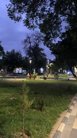 A night view of a park, with a paved pathway in the foreground. Trees and grass dominate the scene, with benches and lampposts scattered throughout. A few people are visible sitting on benches in the distance. The sky is dark blue, indicating it is dusk or night. The video is shot from a static position, offering a wide-angle view of the park.