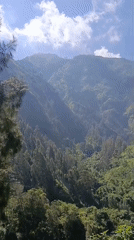 Forested mountain landscape under open skies near Ngadirejo