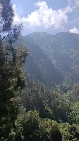 The video shows a mountain covered in trees, with a cloudy sky. There are no people or objects visible in the video. The video is a static shot and does not show any actions or interactions.