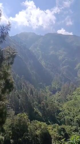 Forested mountain landscape under open skies near Ngadirejo