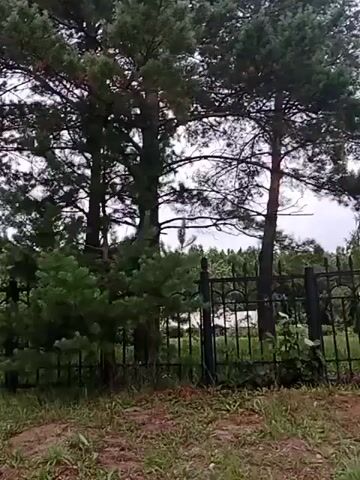The video shows a person walking through a park or a wooded area. The path is paved with asphalt or concrete, and it is lined with trees and grass. There are streetlights along the path. The sky is overcast, and the lighting suggests it is either early morning or late evening. In some shots, a black metal fence is visible. The video is shaky, suggesting it was recorded while the person was in motion. No other people or animals are visible in the video.