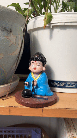 Morning domestic scenes with cat and Buddha figurine in Khor