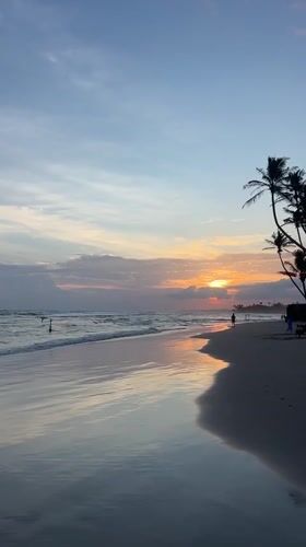 Woman walks dogs on Kathaluwa beach at sunset