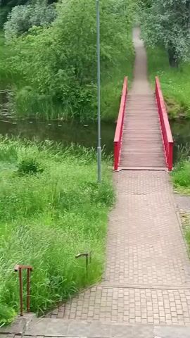 The video shows a pathway leading to a small red bridge over a body of water. The pathway is made of interlocking bricks and is lined with green grass. A lamppost stands to the left of the pathway. The bridge has wooden planks and red railings. On the right side of the water, more grass and trees are visible. The water reflects the surrounding trees and sky. The camera appears to be stationary, looking down the pathway towards the bridge. The scene appears to be in a park or natural setting.