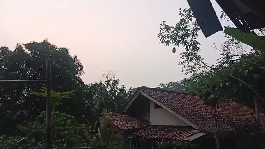 The video shows a view of houses and trees against a pale sky. The houses have red tile roofs. There are clotheslines stretched between poles. A large green tree is prominent in the center of the frame. In the foreground, there is some foliage and a part of a building. The scene appears to be outdoors, possibly in a rural or suburban setting. The lighting suggests it might be early morning or late afternoon.