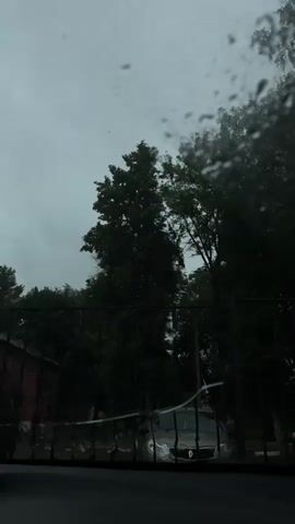 The video is a vertical shot of a view through a rain-streaked window or windshield. Dark clouds fill the sky, suggesting overcast weather. Silhouetted against the sky are several tall, dark green trees. In the foreground, a black metal fence runs horizontally across the frame. Behind the fence, a dark-colored car is partially visible, its windshield also appearing wet. A hint of a brick building is visible on the far left side of the frame. The overall impression is of a gloomy, rainy day observed from indoors or from inside a vehicle.