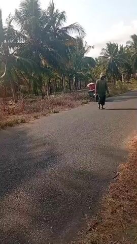 A person walks along a paved road lined with coconut trees. A three-wheeled vehicle with a red container is parked on the side of the road. The person is wearing a hooded jacket and dark pants. The sun is shining and there is dry vegetation on the sides of the road.