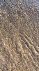 Peaceful beach scene documented on sunny May afternoon