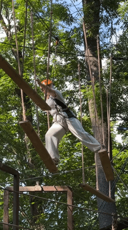 Adventure park, zoo animals, and beach volleyball in Saint Petersburg