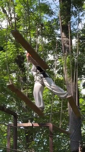 Adventure park, zoo animals, and beach volleyball in Saint Petersburg