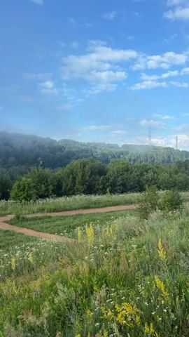 The video shows a panoramic view of a rural landscape on a hazy morning. The foreground features a field of green grass and wildflowers, with a dirt path winding through it. In the mid-ground, a dense forest of green trees stretches across rolling hills. The background is dominated by a blue sky with scattered white clouds, and a thick layer of mist hangs over the distant hills, obscuring the horizon. There are no people or animals visible in the video. The overall impression is one of natural beauty and tranquility.