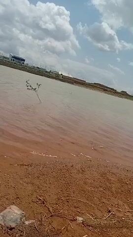 The video shows a body of brown water, possibly a lake or pond, with a muddy shoreline in the foreground. A small, thin tree or branch stands in the water, breaking the surface. In the background, there is a building with a white roof and a dark facade, suggesting it might be a modern structure. The sky is partly cloudy with a bright blue sky visible between the white clouds. The overall scene appears to be an outdoor landscape under daylight.