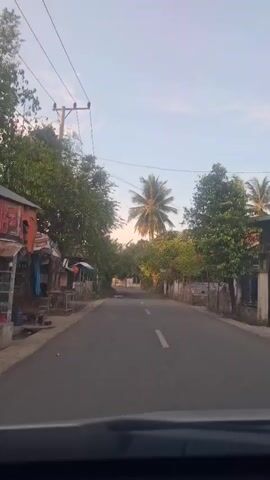 A car's perspective captures a view down a paved road lined with trees and houses. The sky is a pale blue with hints of pink and orange from the setting sun. Power lines stretch across the frame, supported by wooden poles. On the left side of the road, there are buildings with covered porches and small stalls. On the right, houses with fences and more trees are visible. A prominent palm tree stands in the distance, silhouetted against the sky. The road itself has a white dashed line in the center, indicating two lanes. There are puddles of water on the road, suggesting recent rain. The overall atmosphere is tranquil and rural.