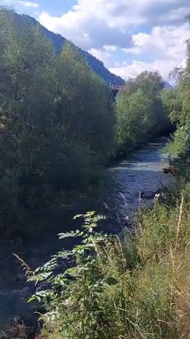 A bright, sunny day with a few clouds in the sky is captured in this vertical video. The scene looks like a mountain stream or a small river flowing through a wooded area. Lush green trees and foliage line both sides of the waterway, with tall grasses and plants in the foreground. The water appears clear and is flowing rapidly over rocks, creating ripples and small waves. In the distance, a few buildings are visible nestled among the trees on the hillside. The overall impression is one of a serene and natural landscape.