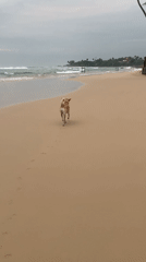 Cloudy beach day captured at Kabalana Surf Club, Sri Lanka