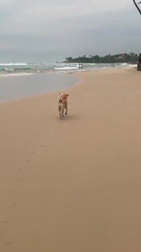 Cloudy beach day captured at Kabalana Surf Club, Sri Lanka