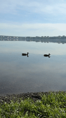 Early morning scenes from Votkinsk show Tchaikovsky statue, reservoir wildlife