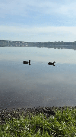 Early morning scenes from Votkinsk show Tchaikovsky statue, reservoir wildlife