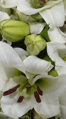 Kuala Lumpur flower shop, fresh blooms and bouquets being wrapped