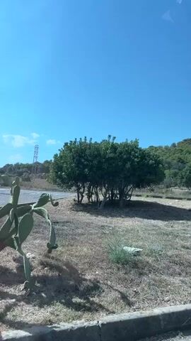 The video shows a rural scene with a bright blue sky and lush green hills in the background. In the foreground, there are dry, grassy areas and several trees, some with pink flowers. A white car is visible driving on a road in the distance, and a lamppost stands near the trees. The overall impression is one of a sunny, somewhat arid landscape.