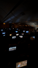 Commercial flight over Los Angeles captured by passengers