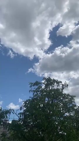 A vertical, low-angle shot shows a tree with dark green leaves in the foreground against a bright blue sky filled with scattered white clouds. The tree's branches extend upwards and to the left, with some leaves appearing slightly blurred, indicating movement, possibly from wind. The sky transitions from a deep blue at the bottom to a lighter blue towards the top. The clouds are fluffy and varied in size and density, with some casting subtle shadows on themselves. The overall lighting suggests it is daytime, with the sun likely positioned above and to the right, illuminating the clouds from the side and casting a soft glow on the tree. The scene is tranquil and natural, focusing on the interplay of light and form between the foliage and the sky.