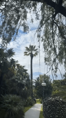 Park stroller walk and shopping captured in Sochi