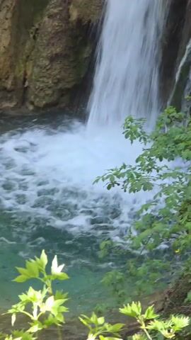 The video shows a tall, narrow waterfall cascading down a rock face into a small pool of turquoise water. Lush green foliage frames the scene, partially obscuring the view of the falls. The camera slowly zooms out, revealing the full height of the waterfall. The rock face surrounding the waterfall is a mix of light brown and grey tones, with some darker patches of moss or algae. The water is clear and turbulent where it crashes into the pool. The surrounding environment seems to be a forest, as indicated by the trees and vegetation.