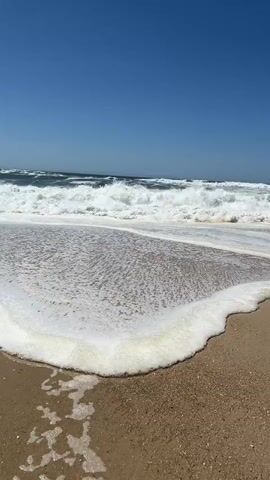 This is a video clip of waves crashing on a sandy beach under a clear blue sky. The perspective is low, close to the water's edge, capturing the foamy surf rolling onto the shore. The waves are moderate, with white crests and a greenish hue in the deeper water. The sand appears light brown and damp near the water. The scene evokes a sense of a bright, sunny day, likely in the afternoon, given the clear sky and vibrant light. There are no people or objects visible in the frame, focusing entirely on the natural beauty of the ocean and beach. The overall mood is peaceful and refreshing, typical of a seaside environment. The location is identified as Torreira, Portugal, suggesting a coastal setting in the Iberian Peninsula. There is no visible text within the video.