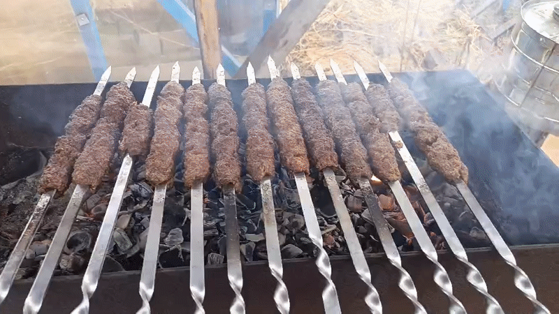 Backyard BBQ Session Documented in Nizhnevartovsk, Russia
