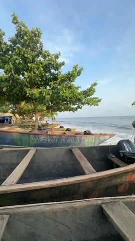 The video captures a serene coastal scene at Limbé III, Cameroon. Several wooden fishing boats are resting on a sandy beach. In the foreground, two boats are visible; the closer one shows only its wooden interior, while the one behind it displays the text "LUCKY NA 1 DAY" and "OSO AJE" painted on its side, equipped with a "SUZUKI" outboard motor. A paddle extends from the boat in the middle ground.

A lush green tree stands on the left side of the frame, partially obscuring a person in the background. The ocean stretches out to the horizon under a bright blue sky with scattered white clouds. Gentle waves lap at the shore, reaching the boats. The overall lighting suggests either early morning or late afternoon, creating a peaceful and calm atmosphere. The boats appear to be traditional local vessels, characteristic of fishing communities along the coast.