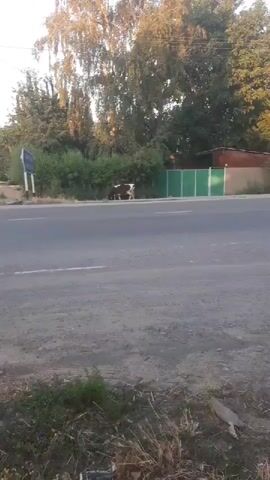The video shows a street scene in what appears to be a rural or semi-rural area. The camera pans from left to right, offering a view of a paved road, a sidewalk, trees, a few buildings, and hills in the background. The lighting suggests it is either early morning or late afternoon. There are no people or vehicles clearly visible in the footage.