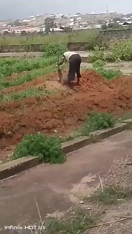 A person is digging in a patch of brown dirt with a shovel. The person is wearing a light-colored shirt and dark pants. There is green grass and vegetation around the dirt patch, and a concrete border is visible in the foreground. In the background, there are buildings and a hillside. The video appears to be taken outdoors on an overcast day.