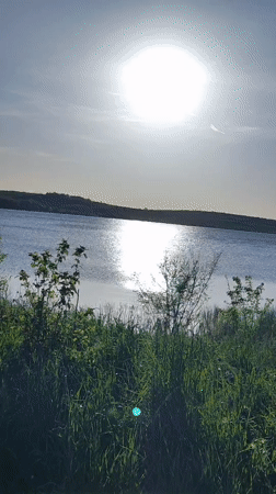 Peaceful lake landscape documented in Tvarditsa, Bulgaria