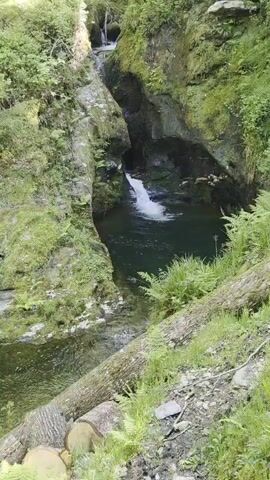 A video presents a natural scene featuring a small waterfall cascading into a pool of water nestled amongst rocks and lush greenery. The camera angle provides a slightly elevated view, revealing the water flowing down a rocky channel and culminating in the pool. The surrounding rocks are covered in moss and ferns, adding to the serene and verdant environment. Fallen logs lay along the ground on the right side of the frame, indicating a natural woodland setting. The overall impression is one of tranquility and natural beauty.