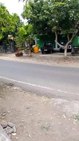 A black car drives down a paved road. There are trees and buildings along the side of the road.