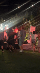 Live band night show with a stray cat moment nearby